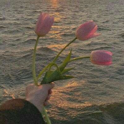 百家家乐APP下载安装