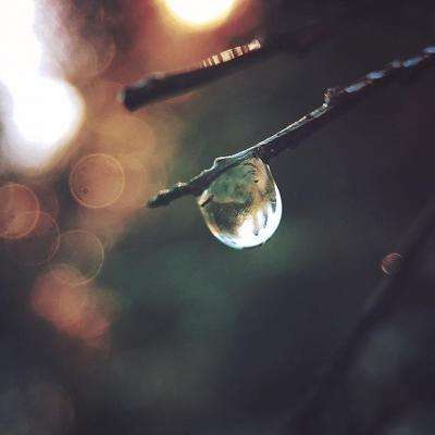 咪乐官方下载入口